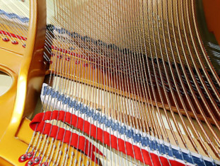 成為延長農(nóng)業(yè)產(chǎn)業(yè)鏈、就業(yè)鏈和效益鏈，促進(jìn)農(nóng)民就業(yè)增收和現(xiàn)